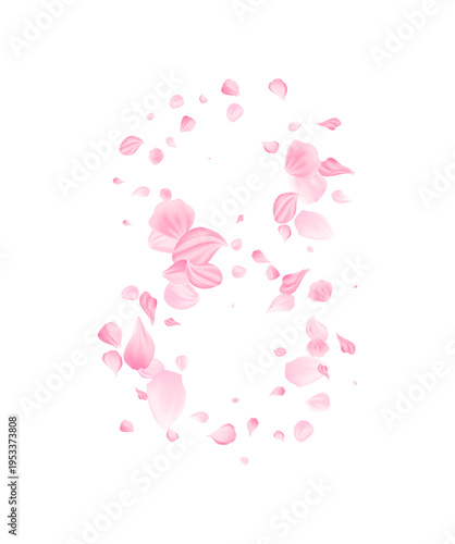 Rose Petal number eight. 8 march holiday card element.