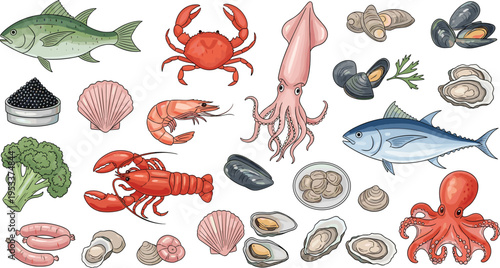 Seafood vector illustration set with fish crab lobster squid shrimp mussels oysters and marine food collection