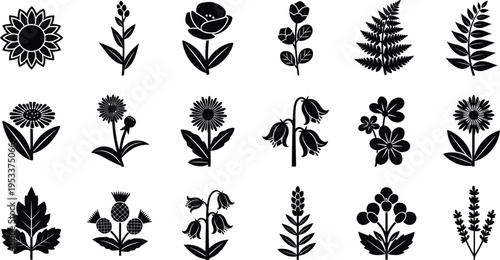 Black silhouettes of various flowers and plants white