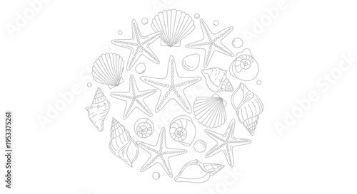 Set of sea creatures and shells vector illustration
