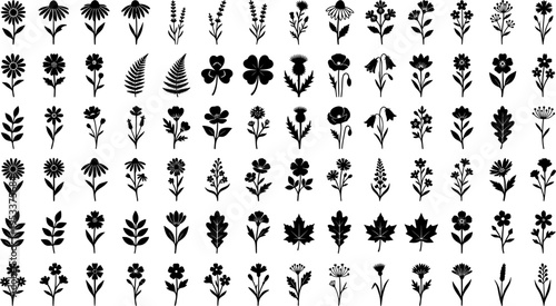 wild plants and wild flowers, large collection of hand drawn flowers in monoline doodle style
