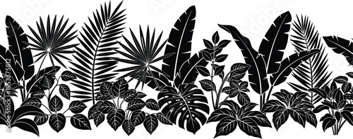 Black silhouette of tropical jungle leaves and exotic palm branches set on white background for summer wallpaper floral pattern and elegant nature design (25 words)