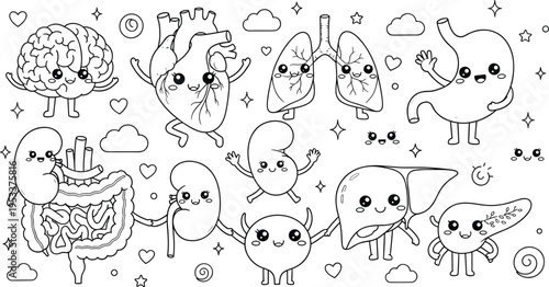 Cute human organs cartoon vector coloring page with kawaii anatomy characters brain heart lungs kidney liver illustration