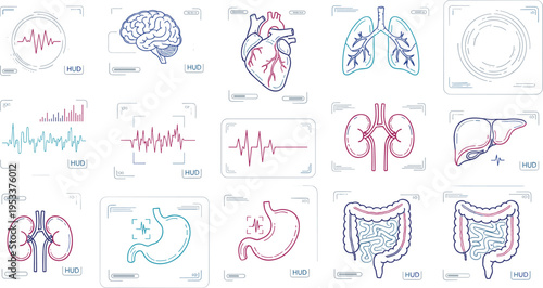 Medical HUD interface vector set with human organs brain heart lungs kidney and health monitoring data screens