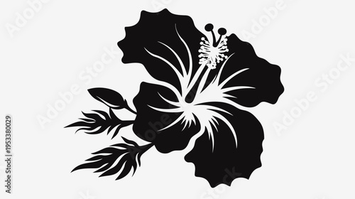 Black and white vector illustration of a hibiscus flower with detailed petals