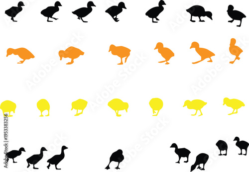 Duck silhouette collection, bird walking poses set, farm animal icons, wildlife illustration, different positions, simple vector design, poultry movement sequence