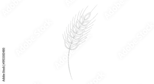 Single wheat stalk illustration drawing.