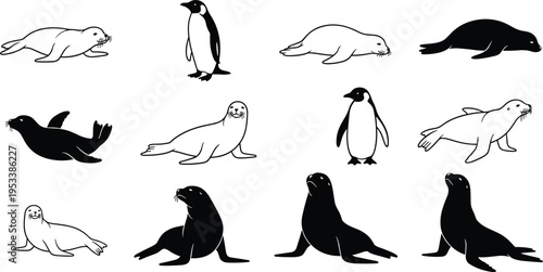 Seal and Penguin Silhouette Icon Set with Marine Animals Collection Black and White Wildlife Shapes for Ocean Nature Design and Educational Graphics