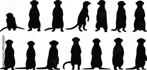 Collection of Meerkat Silhouettes in Various Poses on White Background animal wildlife