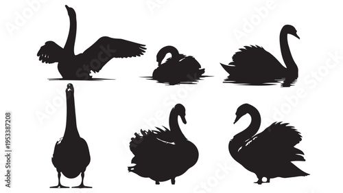 Set of 6 black swan silhouettes vector