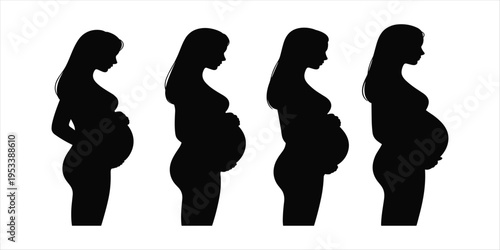 Silhouette Progression of Pregnant Woman Showing Fetal Growth Stages on White Background Keywords: pregnant, woman, silhouette