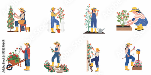 Set of illustrations depicting women gardeners pruning and caring for rose bushes in various garden settings, wearing overalls and straw hats.