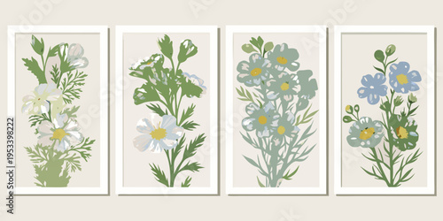 Four botanical prints displaying delicate wildflowers in rectangular frames