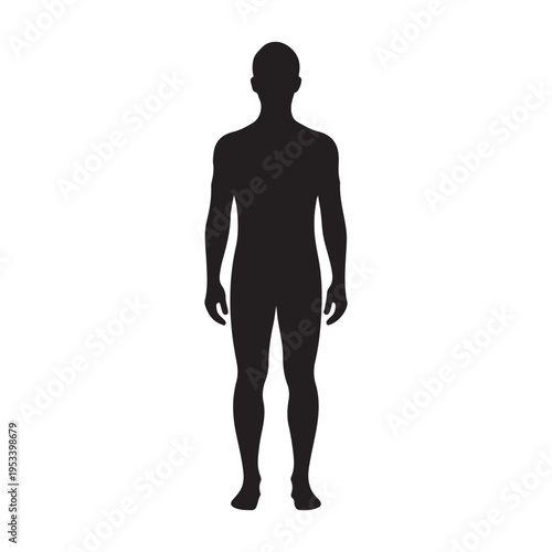 Silhouette of a human male body standing full length front view vector illustration