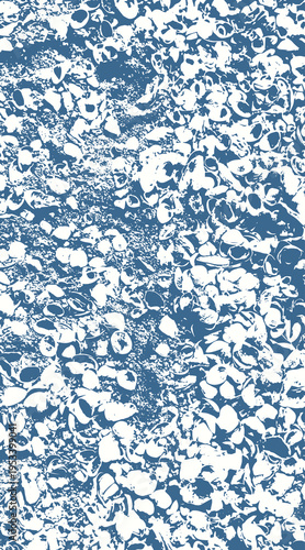 13-56. Vector image of the coast laid with shells - illustration.