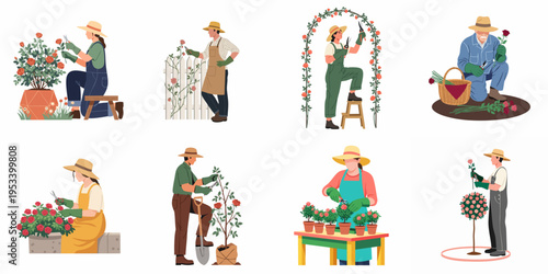 Set of flat vector illustrations featuring diverse gardeners pruning, planting, and tending to beautiful rose bushes and flowers in various garden settings.