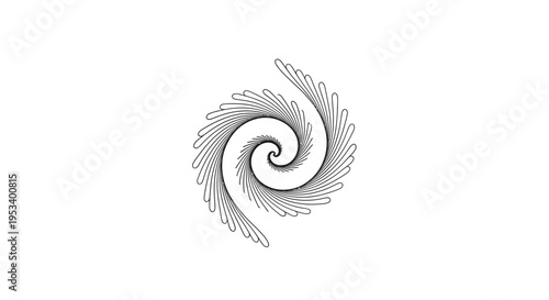 Black and white feather spiral design.