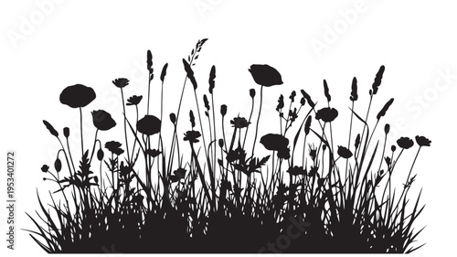 Black silhouette of wildflowers and grass vector