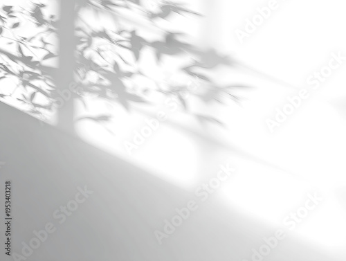 Dark grey silhouette with blurred organic shapes, possibly tree branches, against black