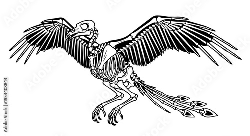 Ancient Pterosaur Skeleton with Wings in Black and White Illustration.