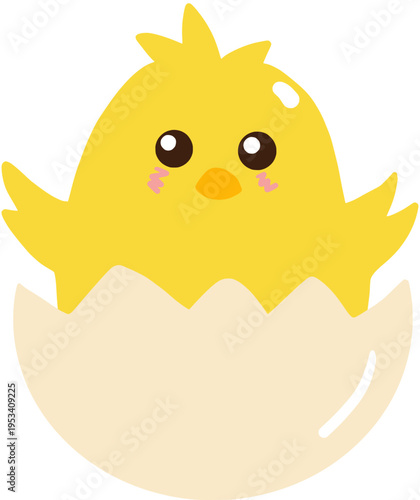 A chick that hatched from an egg 