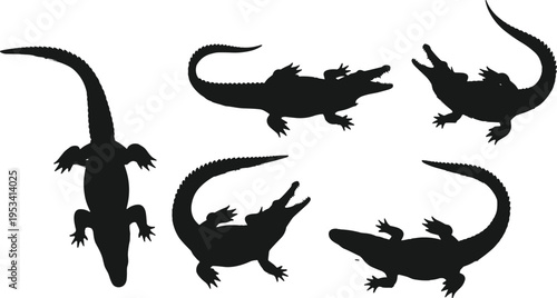 Alligator silhouette set. Crocodilian reptile wildlife vector collection. Black isolated swamp predators in top and side view poses.