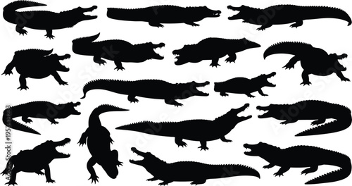 Alligator silhouette mega set. Crocodilian swamp reptile wildlife vector collection. Black isolated alligators in multiple walking, swimming and hunting poses.