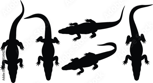 Alligator silhouette vector collection. Crocodilian swamp reptile wildlife set. Black isolated alligators in top and side views with curved tail poses.