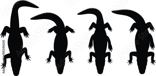 Caiman silhouette collection. Tropical crocodilian reptile wildlife vector set. Black isolated caimans in top and side view swamp predator poses.