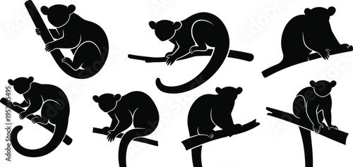 Kinkajou silhouette pose set. Tropical honey bear wildlife vector collection. Black isolated arboreal mammals climbing, sitting and resting on tree branches.