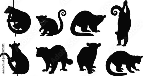 Kinkajou silhouette collection. Tropical rainforest honey bear mammal vector set. Black isolated kinkajou poses climbing, sitting and standing.
