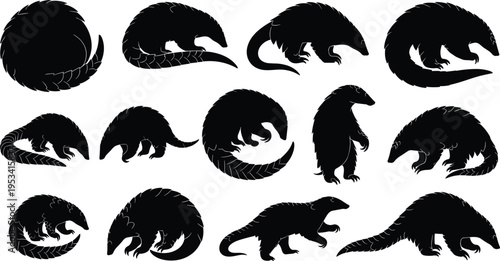 Pangolin silhouette pose set. Scaled anteater wildlife mammal vector collection. Black isolated pangolins curled, walking and foraging.