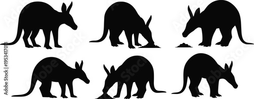 Aardvark silhouette collection. Nocturnal African insectivore digging and walking poses. Long snout wildlife mammal vector illustration set.