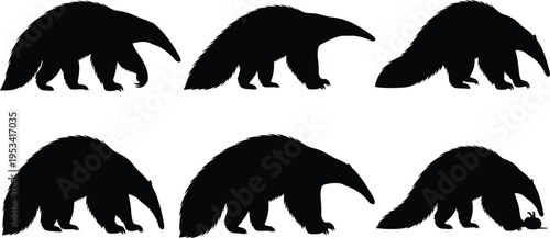 Giant anteater silhouette set. Long snout insect eater mammal walking poses collection. Wild tropical wildlife vector illustration pack.