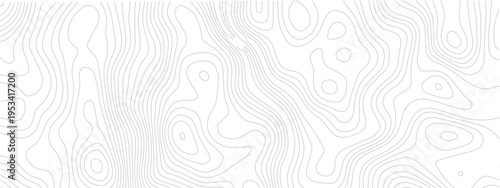 Abstract pattern with lines seamless pattern and topography. sea map and mounted map area space geometrics line technology topo landscape grid map discovery area. Modern design white background.