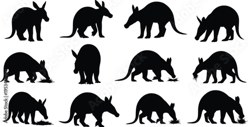 Aardvark silhouette set. African anteater animal poses collection. Black isolated wildlife mammal vectors showing walking, digging and feeding aardvark.