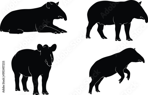 Tapir silhouette set with standing, resting and walking poses. Tropical rainforest mammal wildlife vector illustration collection.