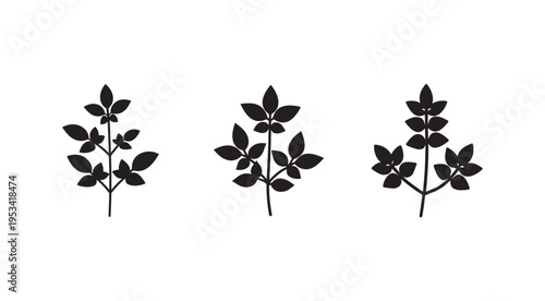 Black silhouettes of plants with multiple leaves on stems  isolated on white background