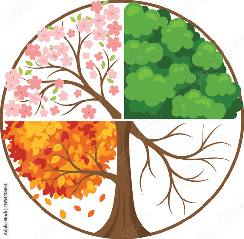 Fotografía Circular vector illustration of a tree divided into four sections representing spring, summer, autumn, and winter seasons