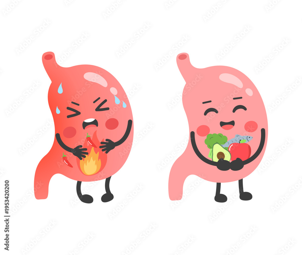 Fototapeta premium Healthy and sick stomach characters. Happy stomach with fresh food and sad stomach with heartburn. Gut health and digestion concept. Vector illustration.