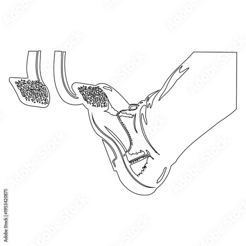 Foot on Car Pedal