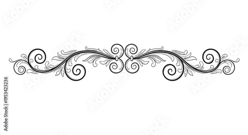 Intricate symmetrical ornamental flourish with leaf and scroll motifs in a classic black and white vector illustration.