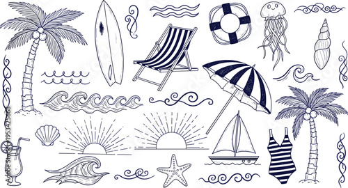 Black and white line collection of various seashells and marine life line seashells ocean mollusks