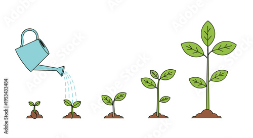Sequential illustration of plant growth from a seed to a fully developed plant being watered by a blue watering can.