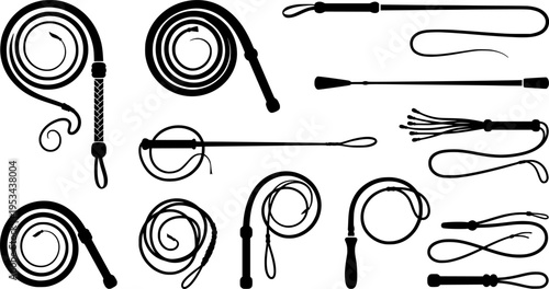 Illustration of a black bullwhip on a white background

