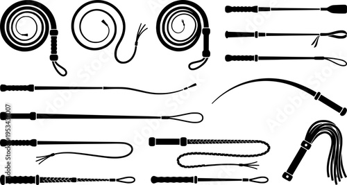 Illustration of a black bullwhip on a white background
