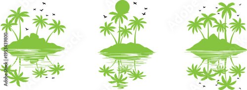 Green palm trees with coconuts and tropical foliage in sunny outdoor setting