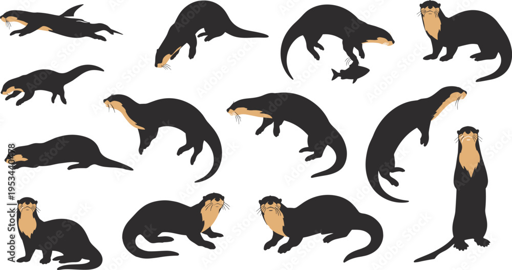 Obraz premium Otter Animal Vector Set with Different Poses, Swimming, Standing and Playing Actions for Wildlife Illustration, Nature Design and Cute Mammal Collection