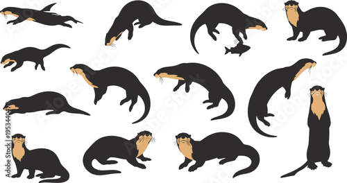 Otter Animal Vector Set with Different Poses, Swimming, Standing and Playing Actions for Wildlife Illustration, Nature Design and Cute Mammal Collection