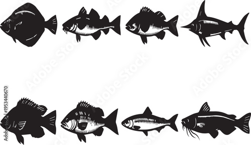 Eight different fish species silhouettes on white background